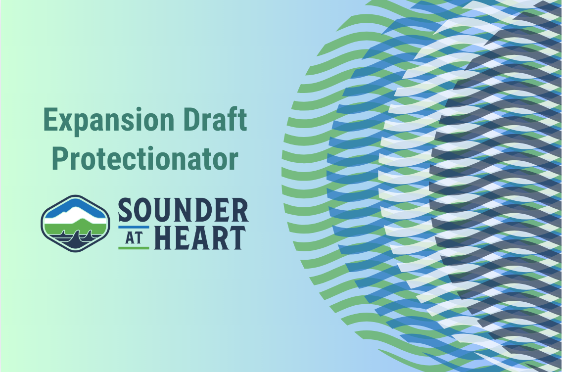 Pick who you think Sounders should protect in Expansion Draft