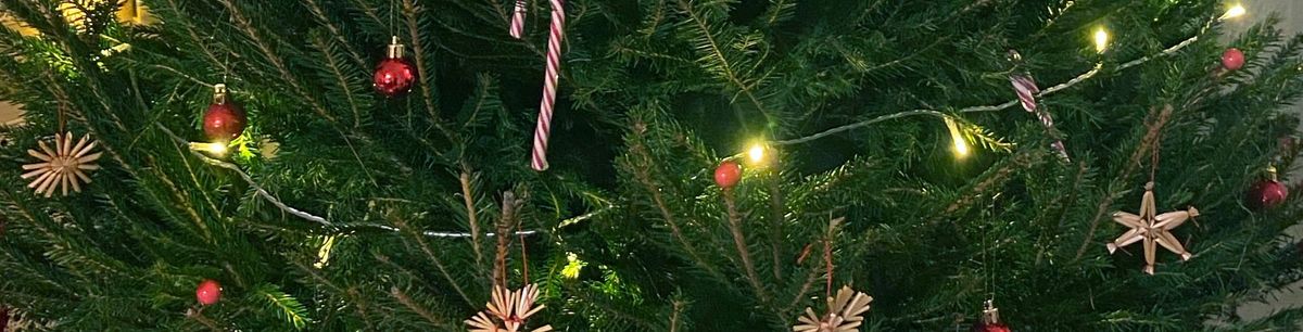 🎄 GOD JUL & GOTT NYTT ÅR!