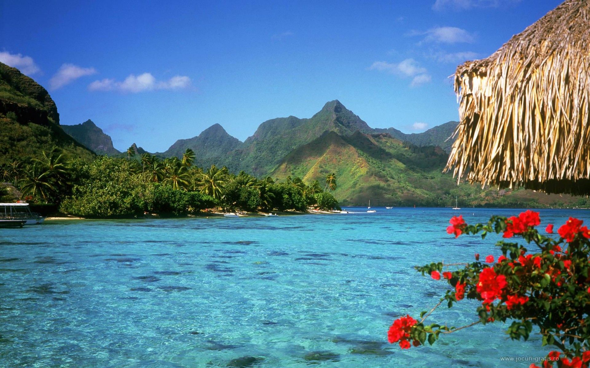 Foto de las Bahamas