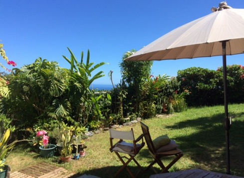 Un jardin de Pape'ete