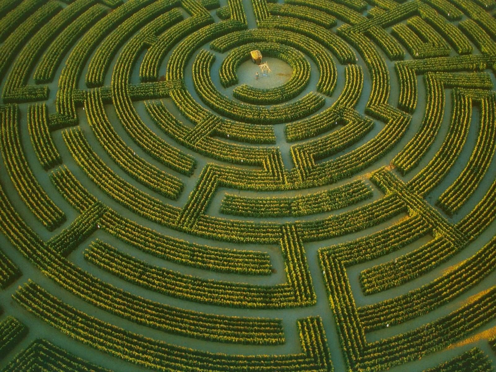 Maze2