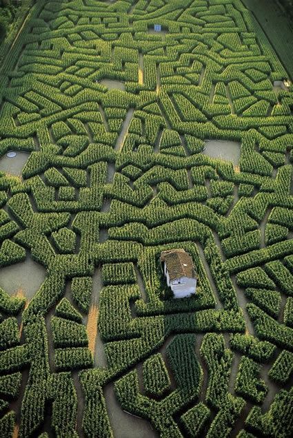 Maze3