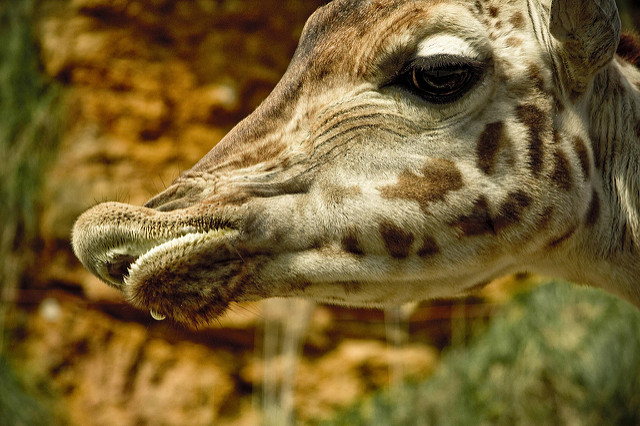 Cabárceno, Ideas para visitar Cantabria