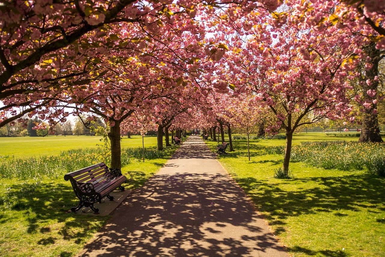 park-737228_1280