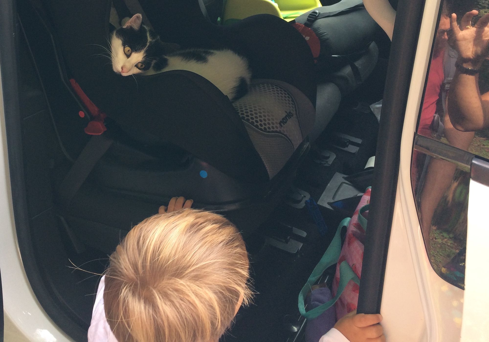 Los primeros pasos de Léon