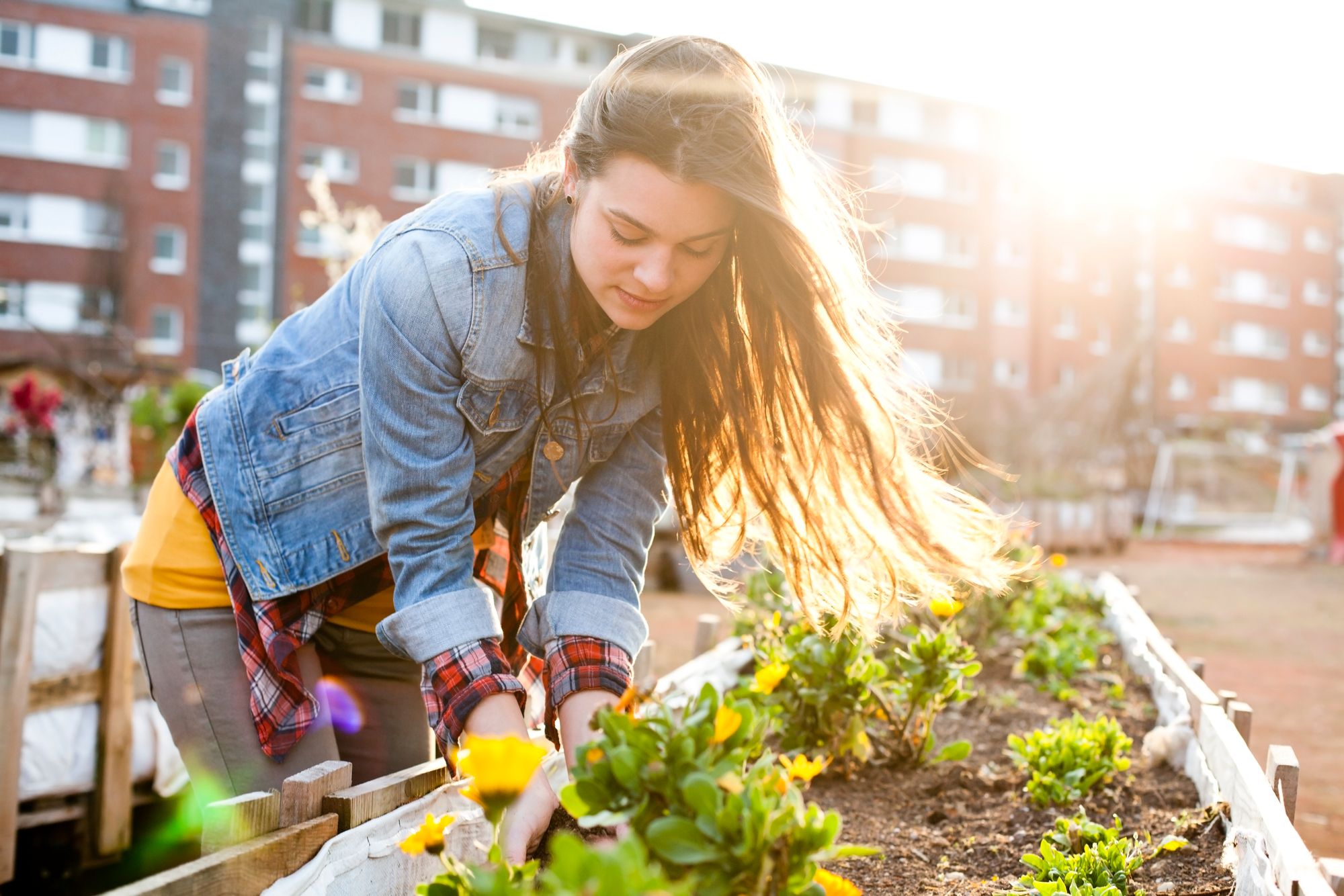 Nature-Lovers-2-525467963