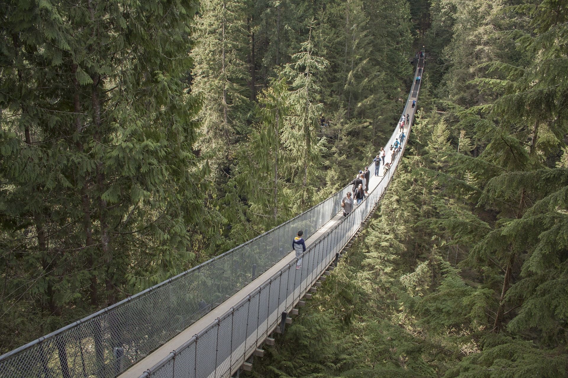 capilano-suspension-bridge-1393076_1920