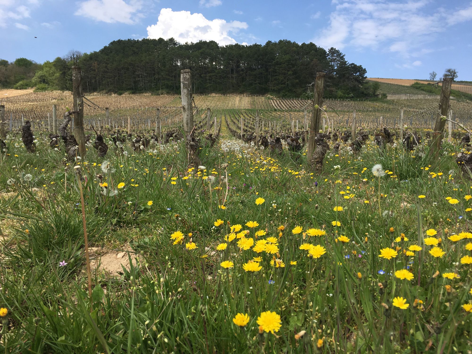 Zona_Rural_en_Borgoña_intercambio_de_Casa