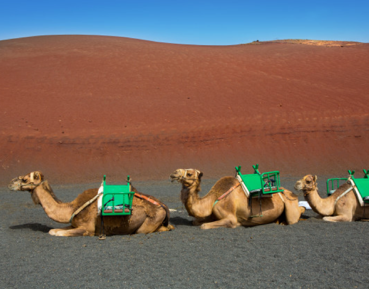 vacaciones-baratas-en-las-islas-canarias