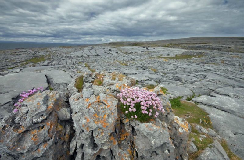 Alt burren-county-clare, tittle burren-county-clare