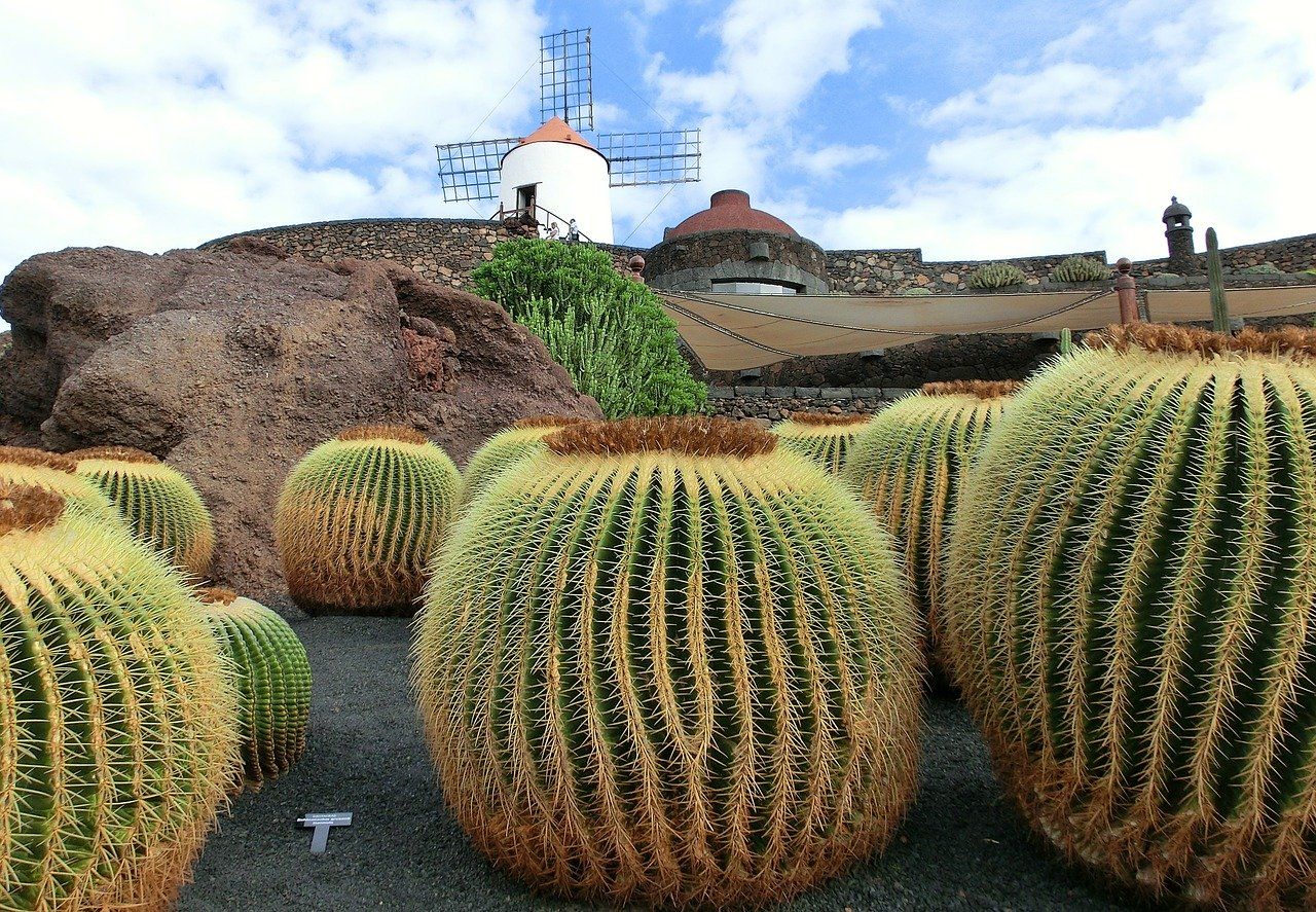 Alt lanzarote-jardin-del-cactus, Title lanzarote-jardin-del-cactus