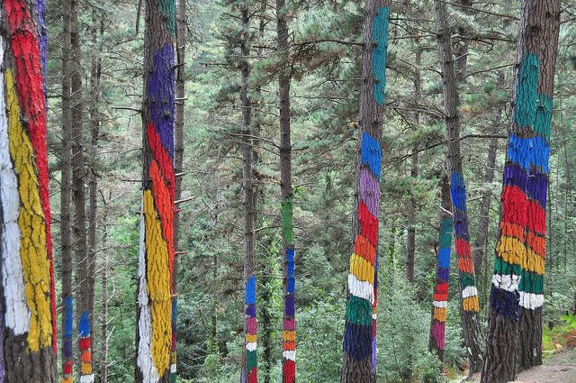 Alt bosque-de-Oma_Pais-Vasco_intercambio-de-casas, title bosque-de-Oma_Pais-Vasco_intercambio-de-casas