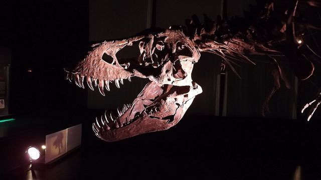 parques tematicos en espana teruel dinopolis