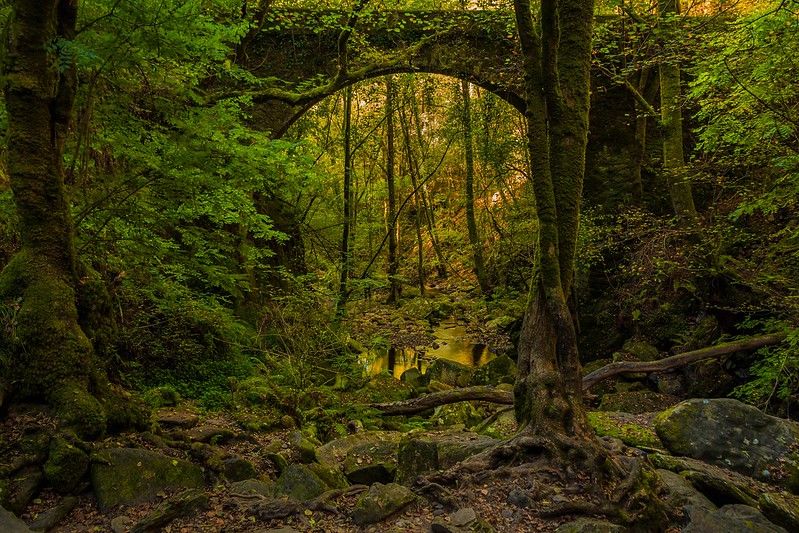 Alt fraga-do-eume-vacaciones-en-galicia-intercambio-de-casas, title fraga-do-eume-vacaciones-en-galicia-intercambio-de-casas