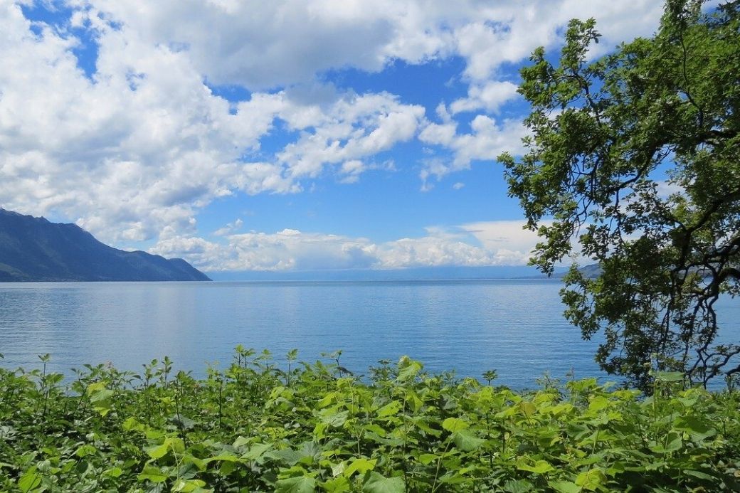 Alt Leman_Suiza_HomeExchange_lago, title Leman_Suiza_HomeExchange_lago