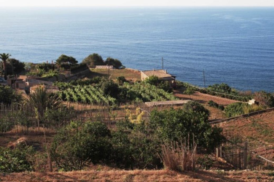 Alt Mallorca-HomeExchange-intercambio-de-casas, title Mallorca-HomeExchange-intercambio-de-casas