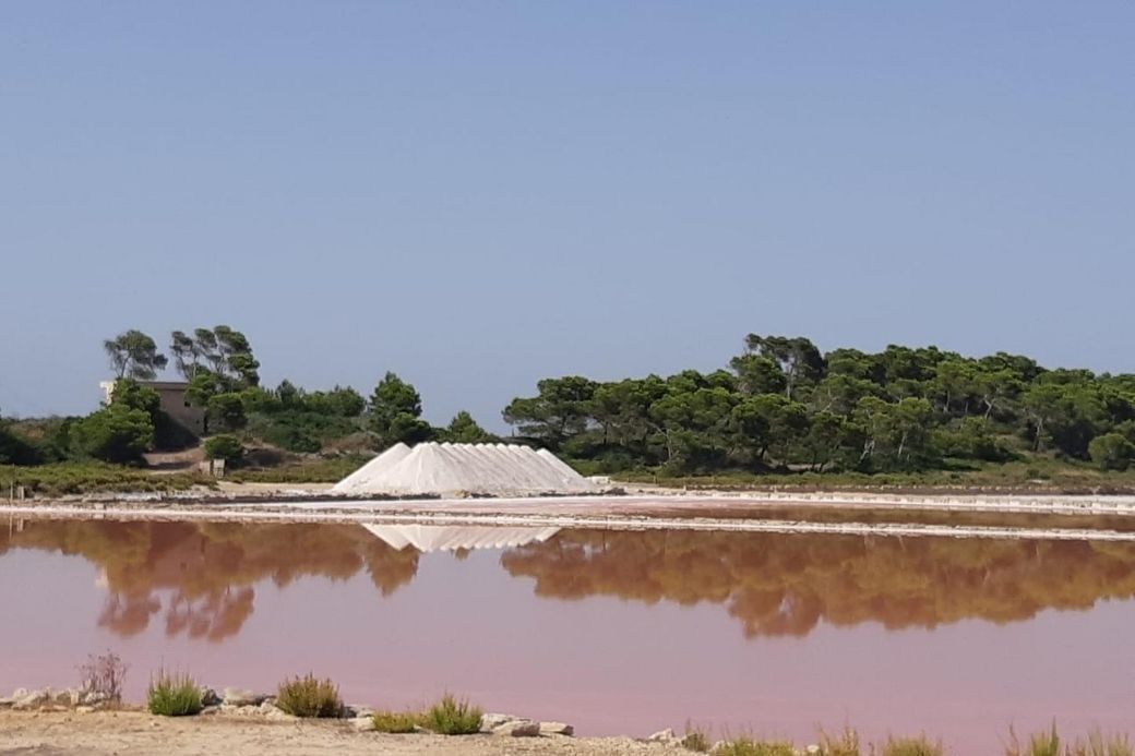 vacaciones en Baleares Salinas Mallorca