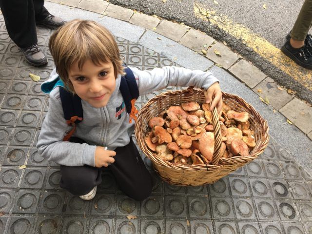 Alt intercambio-de-casas-en-Barcelona_setas_familia_nino, title intercambio-de-casas-en-Barcelona_setas_familia_nino