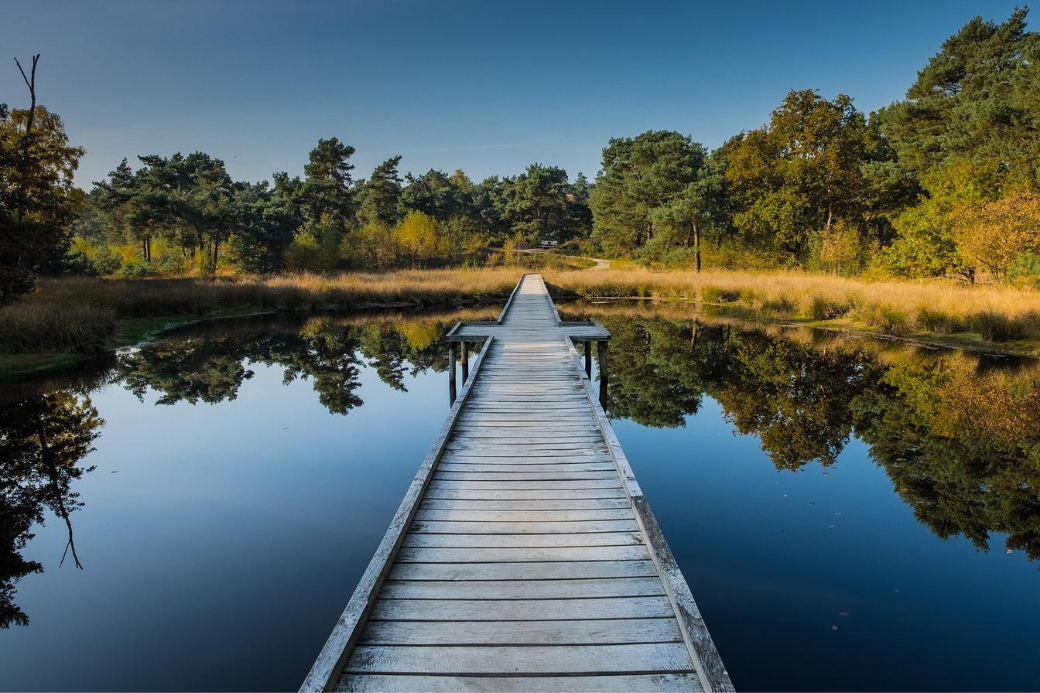 países bajos-limburgo-vacaciones-veranillo del membrillo-intercambio de casas-parque-lago