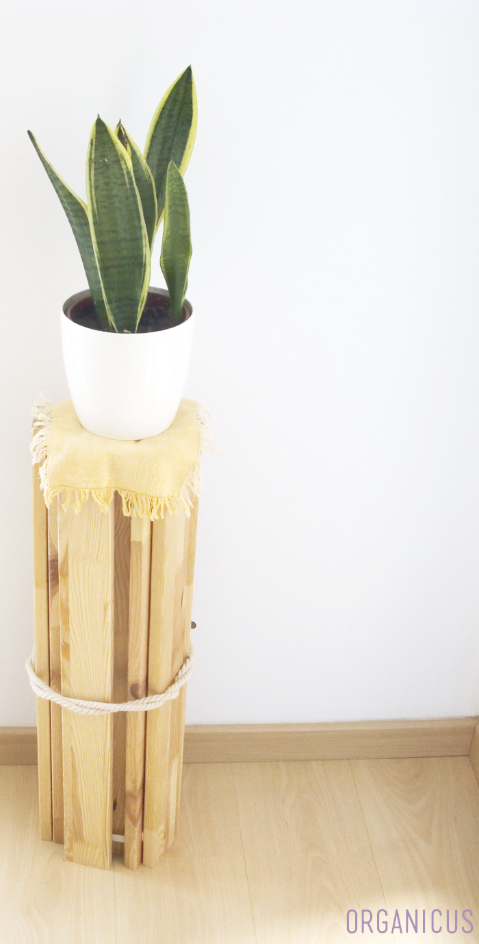 Alt somier_repisa_plantas_HomeExchange, title somier_repisa_plantas_HomeExchange