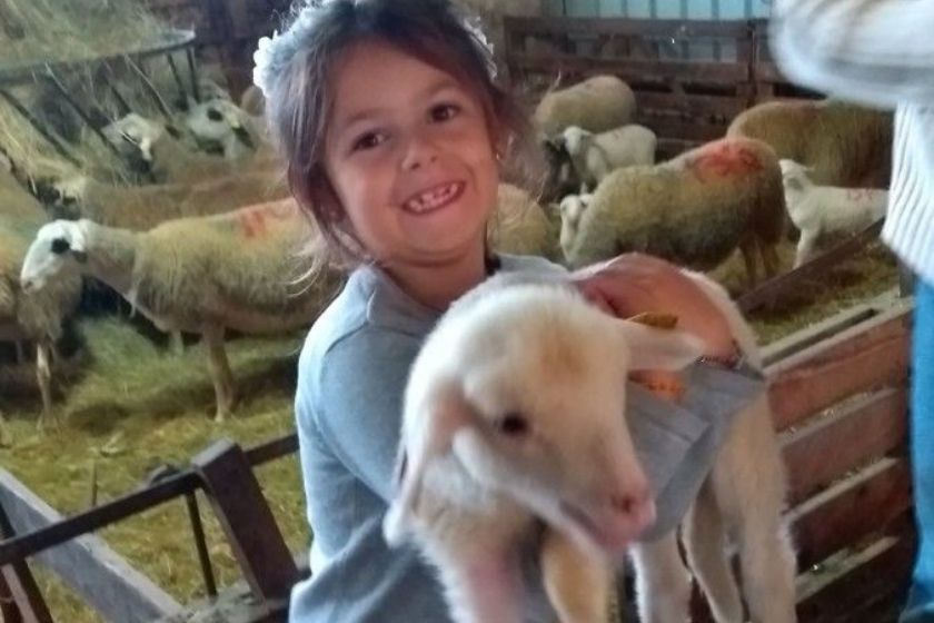 Alt oveja_intercambio-de-casas_HomeExchange, title oveja_intercambio-de-casas_HomeExchange