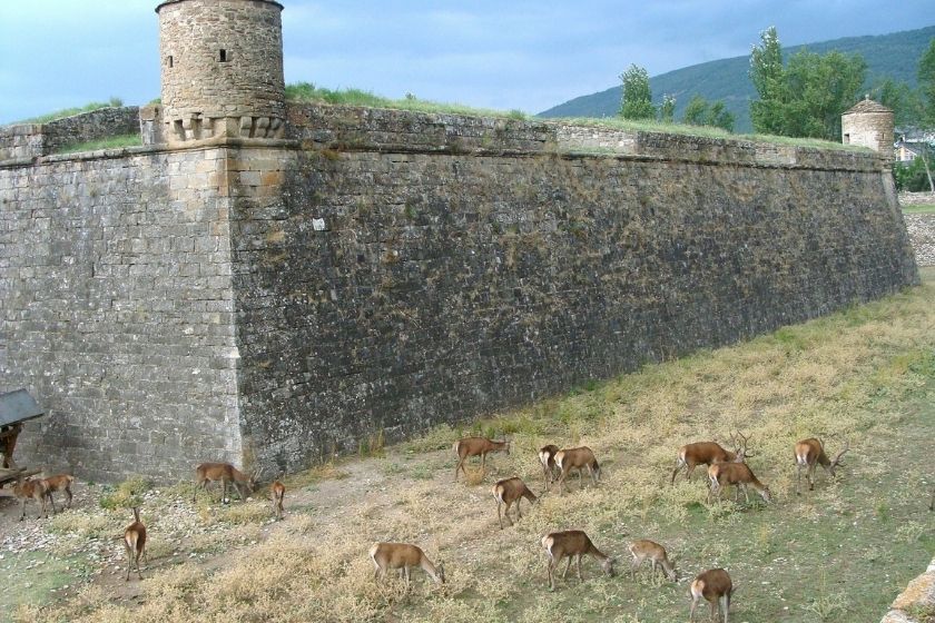 alt Jaca_ciudadela_vacaciones-rurales_ciervos_castillo_HomeExchange, title Jaca_ciudadela_vacaciones-rurales_ciervos_castillo_HomeExchange