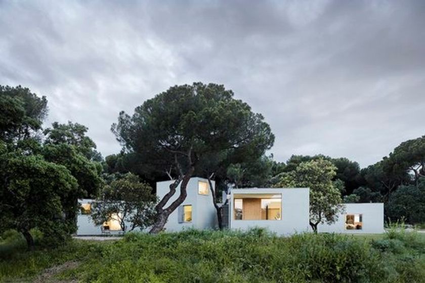 alt Madrid_bosque_vacaciones-en-espan-a, title Madrid_bosque_vacaciones-en-espan-a