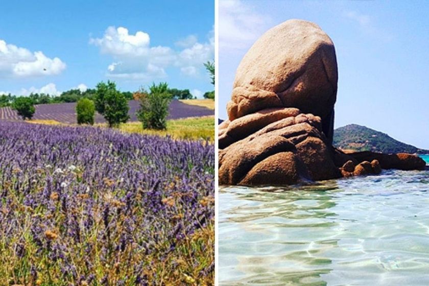 alt Provenza_intercambio-de-casas_HomeExchange_lavanda_familia, title Provenza_intercambio-de-casas_HomeExchange_lavanda_familia