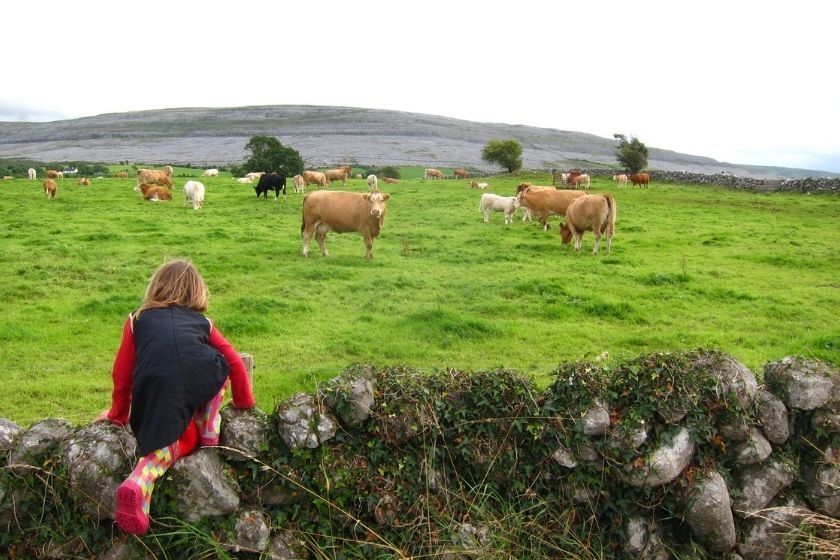 viajar con bebes prado vacas HomeExchange