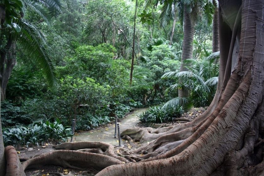 alt jardin_botanico_malaga_HomeExchange, title jardin_botanico_malaga_HomeExchange