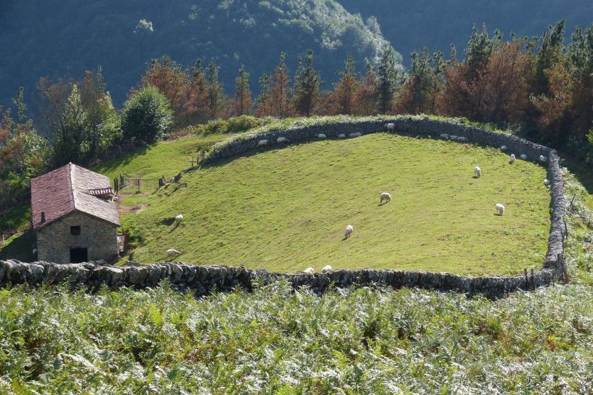 alt Roncesvalles_Navarra_escapada-rural_vacaciones-de-verano_prado, title Roncesvalles_Navarra_escapada-rural_vacaciones-de-verano_prado