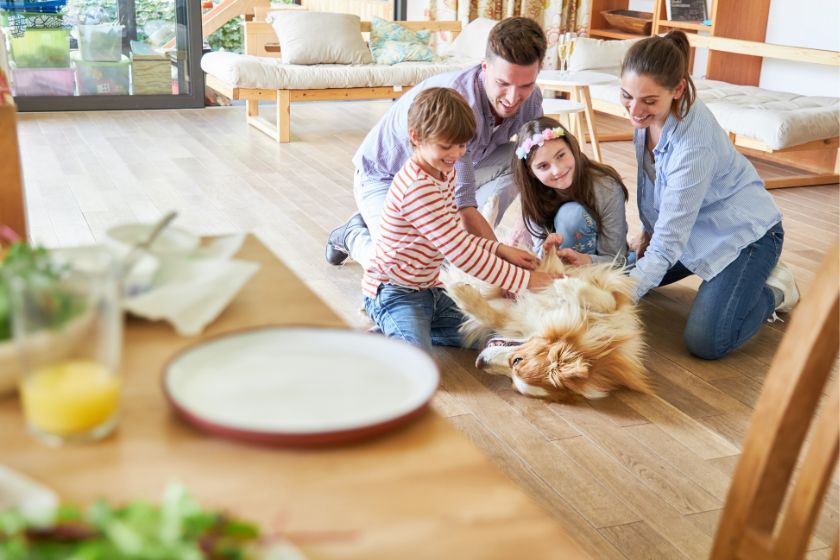 alt viajar-con-mascotas_cuidar-animales_pet-sitting_intercambio-de-casas_familia_salon, title viajar-con-mascotas_cuidar-animales_pet-sitting_intercambio-de-casas_familia_salon