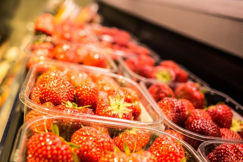 que hacer en Montreal, mercado Jean Talon en Montreal