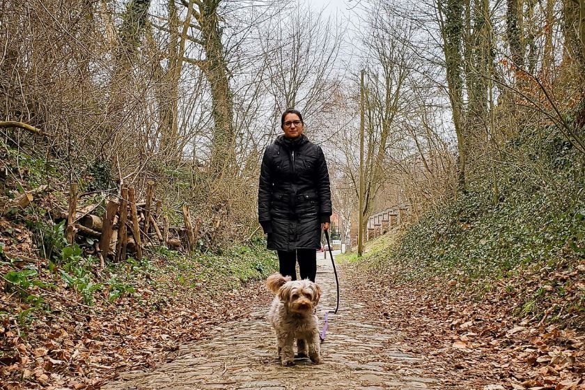 Intercambio de casas con mascotas en Alsemberg