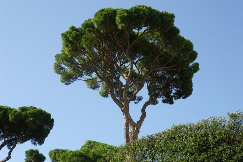 Ruta de la sierra de mariola