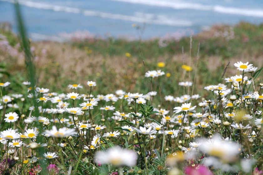 Senda Costera de Muros de Nalon en al mar Cantabrico