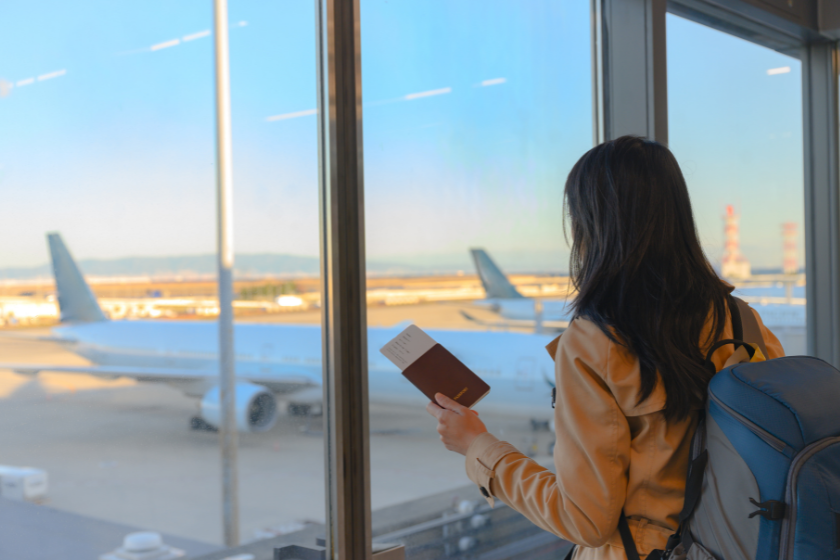 las chinches y el turismo