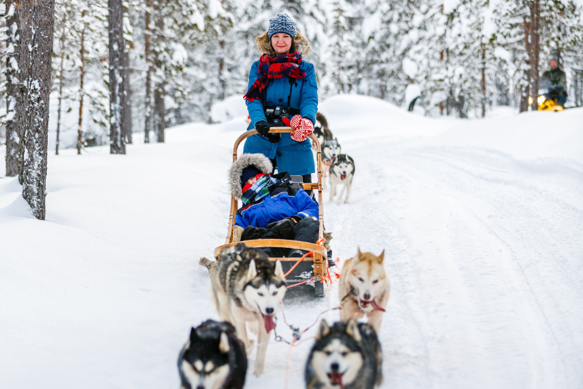 Qué hacer en Canadá: trineo perros