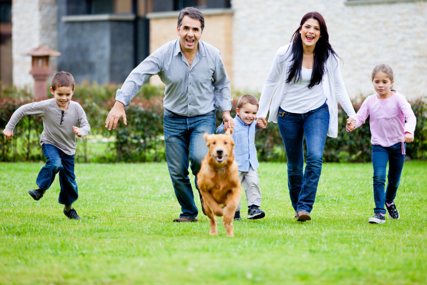 Viaja con tus mascotas con HomeExchange