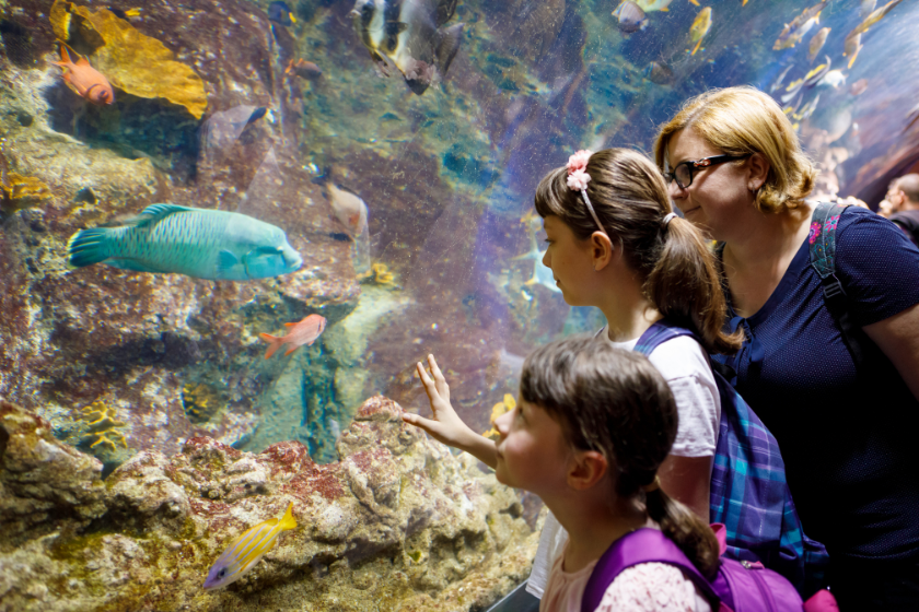 Que ver en Quebec Biodôme de Montreal