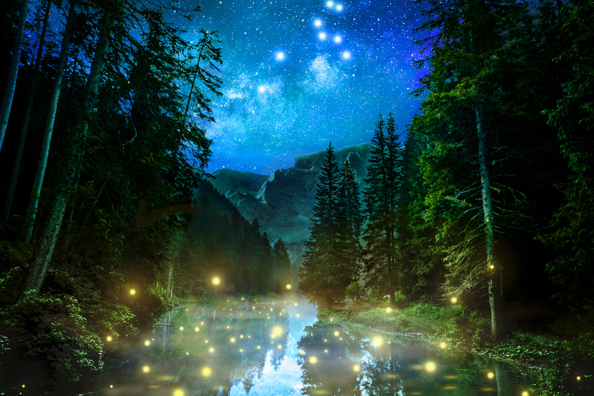 Que ver en Quebec Foresta Lumina