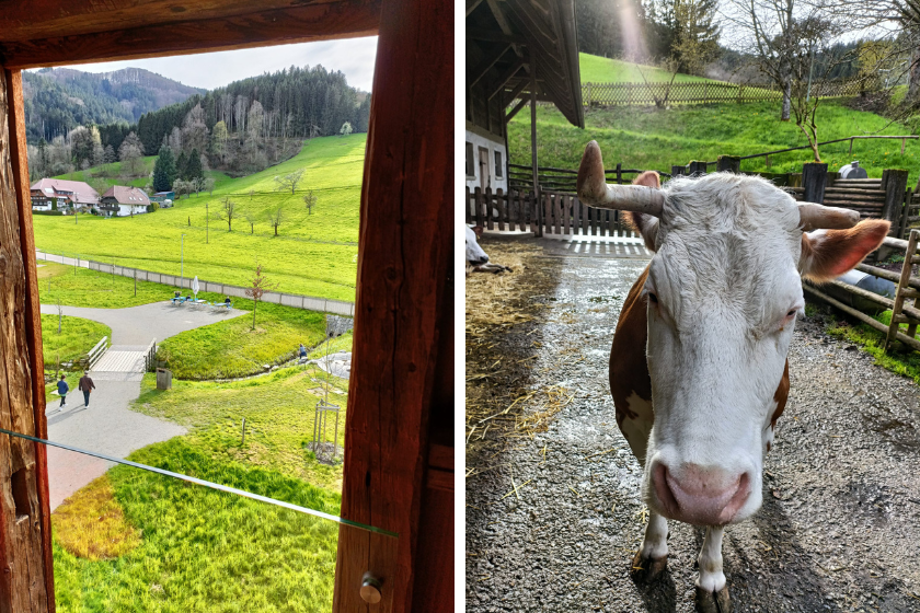 Viajar barato testimonio