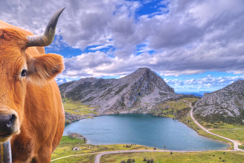 20 lagos más bonitos de España Covadonga
