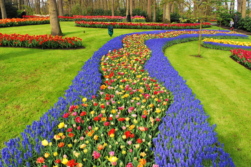 Vacaciones escolares en los Países Bajos Keukenhof