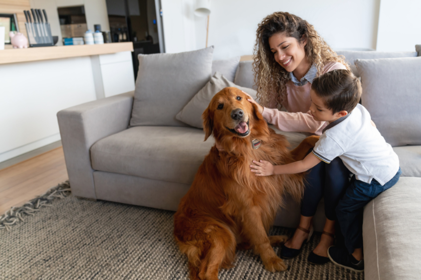HomeExchange y las mascotas