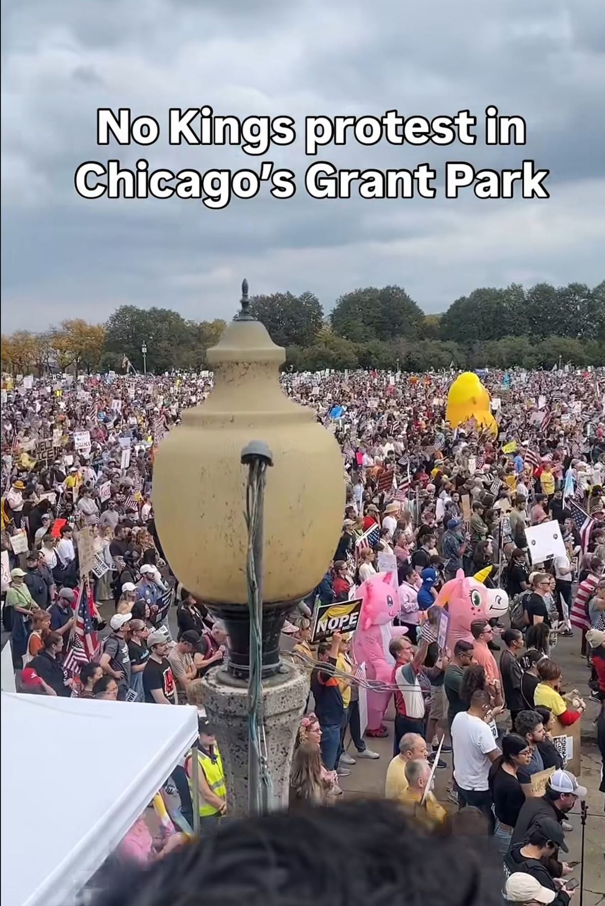 Solute Your Solution