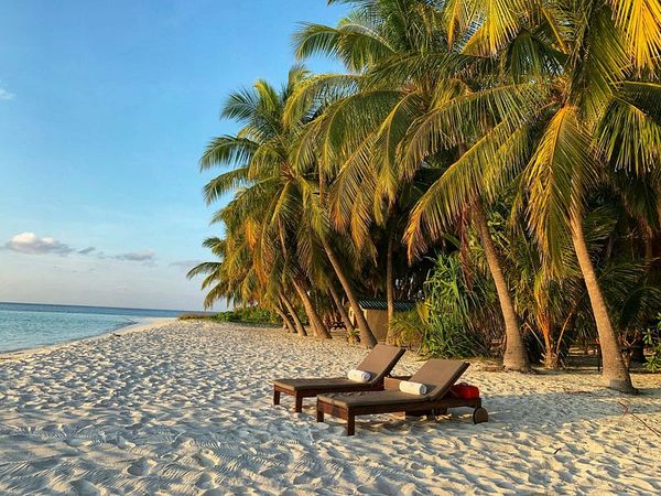 Guide to managing vacations in the team
