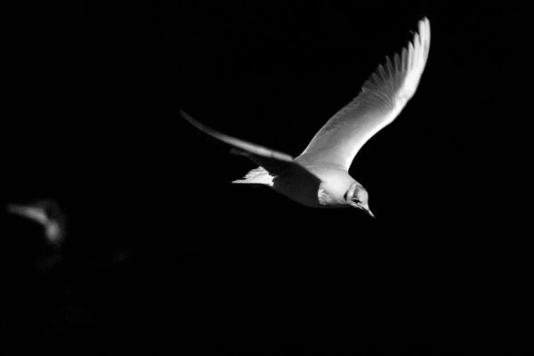 How to Support Nonperformers Towards a Graceful Exit