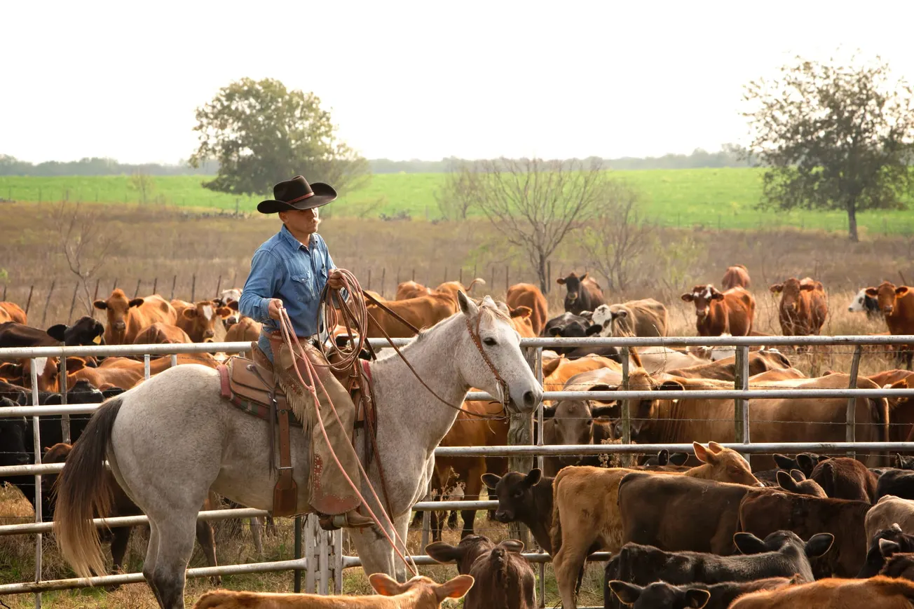 Product Release Roundup: April/May