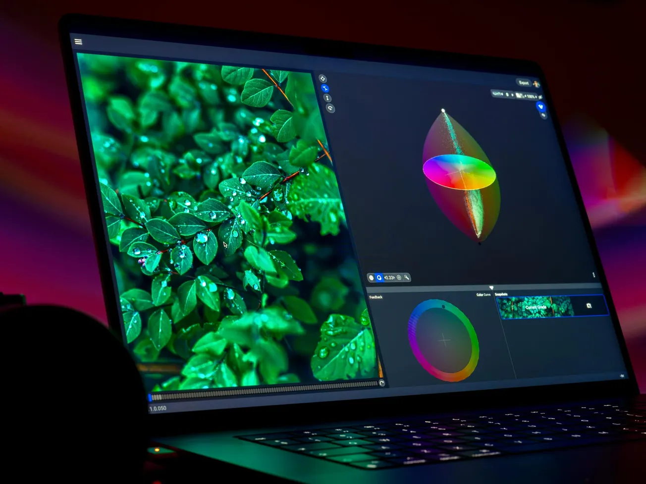 A laptop screen displays vibrant green leaves with water droplets, adjacent to color grading tools. 